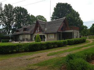 Farm in Rosetta