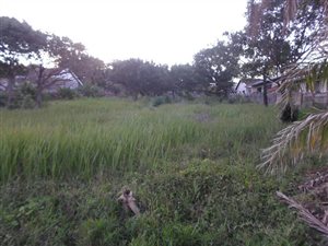 1028 m² Land available in Scottburgh South