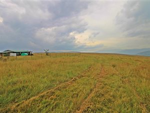 217 ha Farm in Lydenburg