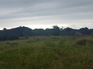 1215 m² Land available in Birdswood