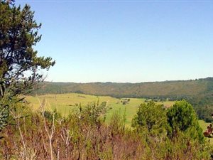 61 ha Farm in Plettenberg Bay