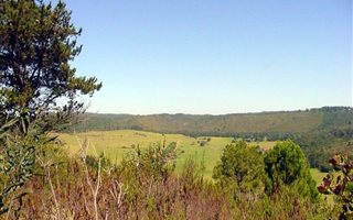 61 ha Farm in Plettenberg Bay