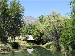 11 Bed, Bed and Breakfast in Kampersrus AH