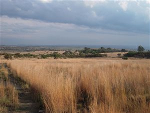 2 ha Land available in Doornrandje