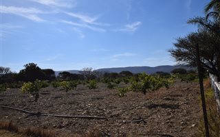 Farm in Andeon AH