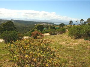 808 m² Land available in Plettenberg Bay