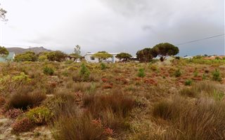 1403 m² Land available in Fisherhaven