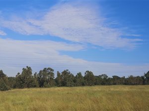 1.1 ha Land available in Walkerville