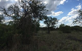 2 ha Land available in Kameelfontein and surrounds