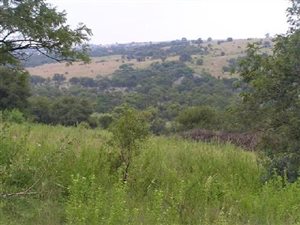 4 ha Land available in Kleinfontein