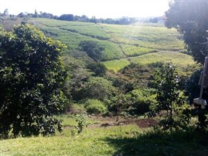 2.1 ha Farm in Stanger