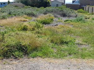 923 m² Land available in Boggomsbaai