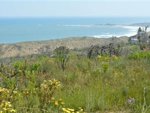 20 ha Farm in Knysna Central
