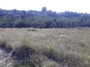 1170 m² Land available in Margate