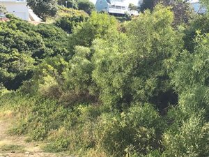 172 m² Land available in Pienaarstrand