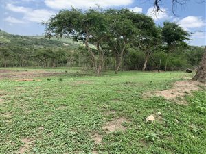 1.3 ha Land available in White River AH
