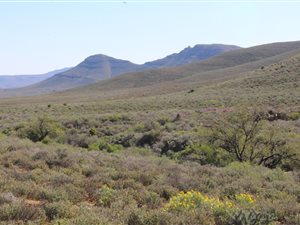 3899 ha Farm in Ceres