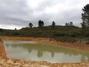 101 ha Farm in Riversdale