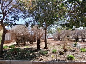 198 ha Farm in De Aar