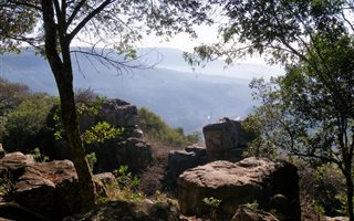 5 ha Farm in Sabie