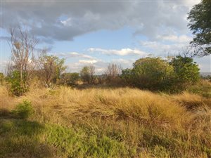 4.3 ha Farm in Bon Accord