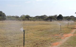 25.4 ha Farm in Zeerust