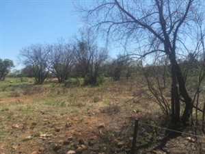 1 ha Land available in Kameeldrift East