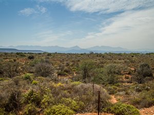 588 m² Land available in Oudtshoorn
