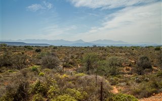 588 m² Land available in Oudtshoorn
