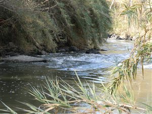 48 ha Farm in Hennops River