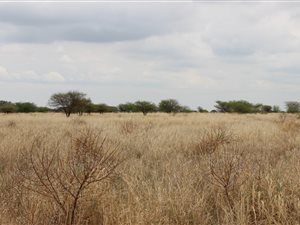 28 ha Farm in Bela-Bela (Warmbaths)