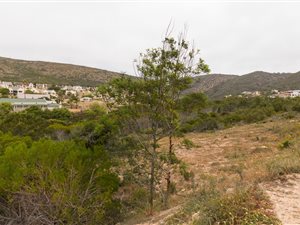 891 m² Land available in Island View