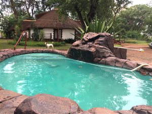 8.6 ha Farm in Bela-Bela (Warmbaths)