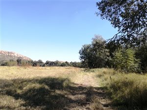12.3 ha Farm in Kroondal