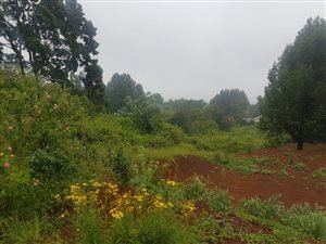 4000 m² Land available in Blackridge