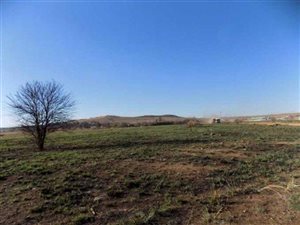 25.7 ha Farm in Knopjeslaagte