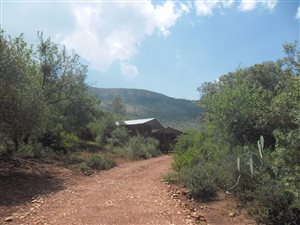 21.5 ha Farm in Olifantsnek