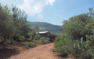 21.5 ha Farm in Olifantsnek