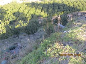 9 ha Farm in Herbertsdale