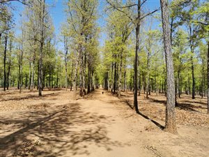 723.4 ha Farm in Kokstad