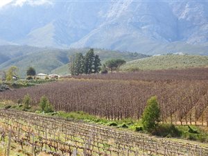 100 ha Farm in Worcester and surrounds
