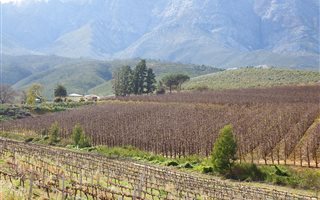 100 ha Farm in Worcester and surrounds