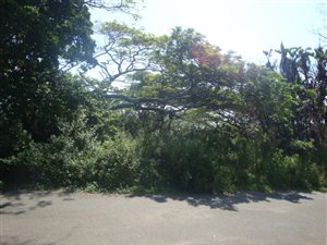973 m² Land available in Marburg