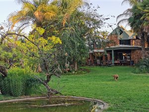 6 Bed House in Kameeldrift East