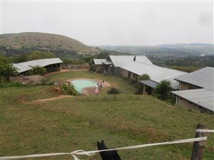 43262 ha Farm in Peacevale
