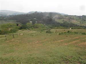 43262 ha Farm in Peacevale