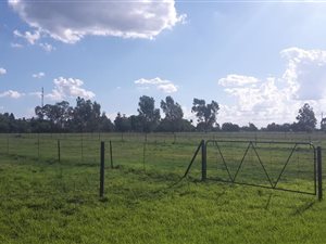 2.1 ha Land available in Theoville