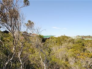 640 m² Land available in Gamtoos Mouth