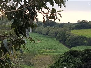 915 m² Land available in Melville