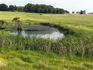 260 ha Farm in Carolina